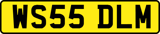 WS55DLM