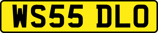 WS55DLO