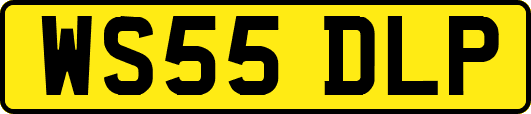 WS55DLP