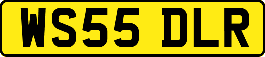 WS55DLR