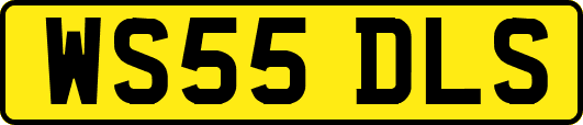 WS55DLS