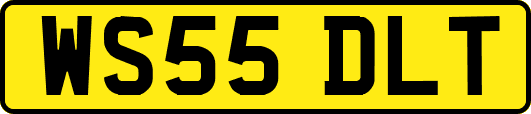 WS55DLT