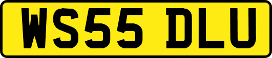 WS55DLU