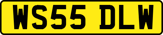 WS55DLW