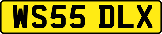 WS55DLX