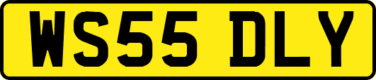 WS55DLY