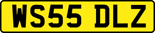 WS55DLZ