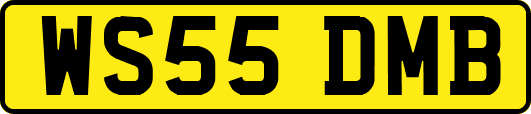 WS55DMB