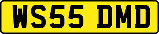 WS55DMD