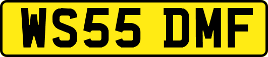 WS55DMF