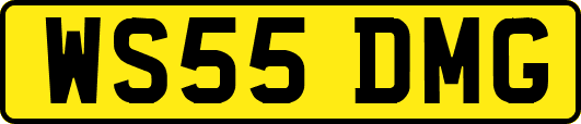WS55DMG