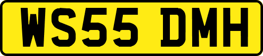 WS55DMH