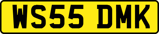 WS55DMK