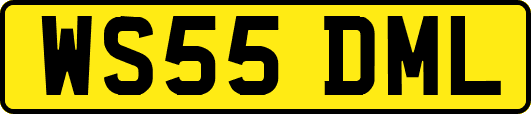WS55DML