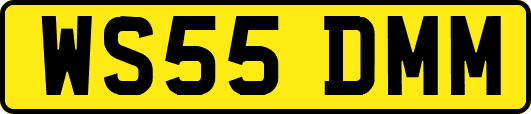 WS55DMM