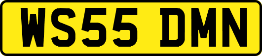 WS55DMN