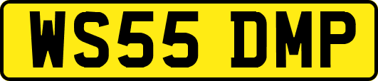 WS55DMP