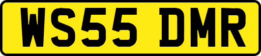 WS55DMR