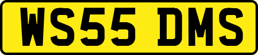 WS55DMS
