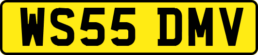 WS55DMV
