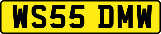 WS55DMW