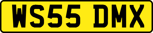 WS55DMX