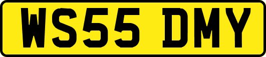 WS55DMY