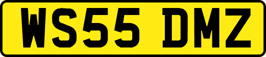 WS55DMZ