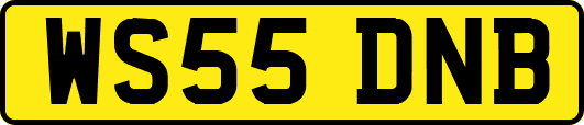 WS55DNB