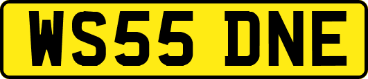 WS55DNE