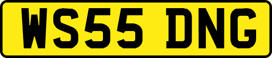 WS55DNG