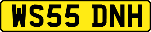 WS55DNH