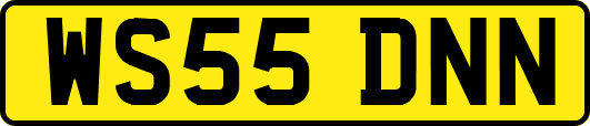 WS55DNN