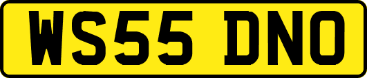 WS55DNO