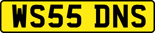 WS55DNS