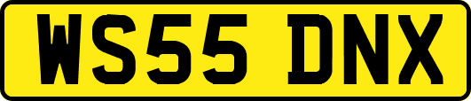WS55DNX