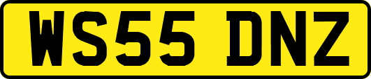 WS55DNZ