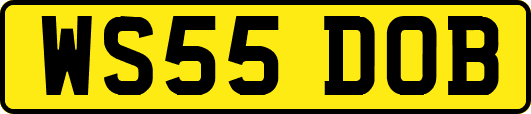 WS55DOB
