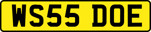 WS55DOE