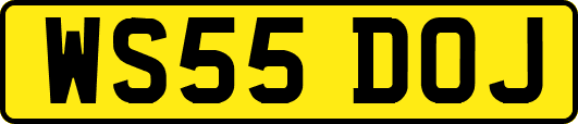 WS55DOJ