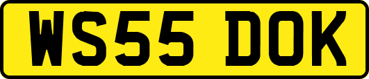 WS55DOK