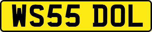 WS55DOL