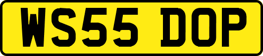 WS55DOP