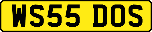 WS55DOS
