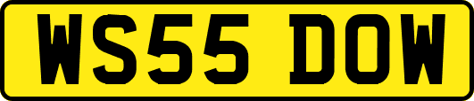 WS55DOW