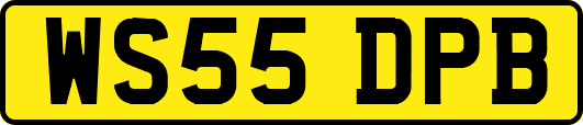 WS55DPB