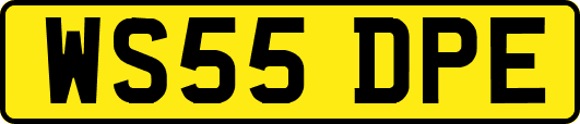 WS55DPE