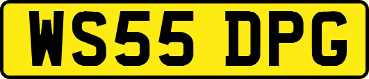 WS55DPG