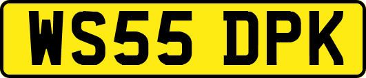 WS55DPK