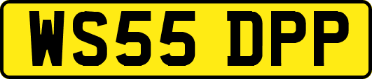 WS55DPP